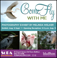 Come Fly with Me, Solo Gallery Exhibit, Bluffton, SC 2019